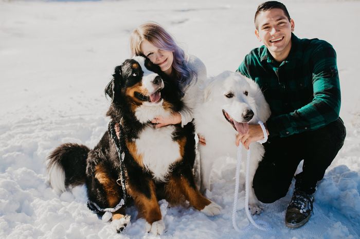 Engagement Pictures - 3