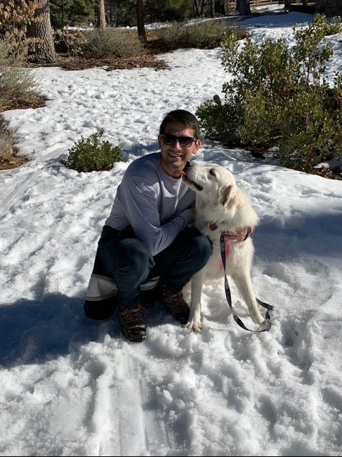 Show me your fiance and pet - 2