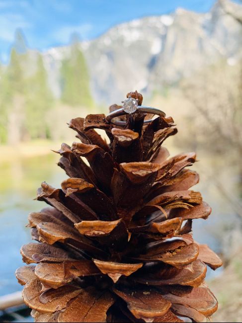 Shameless ring post 12