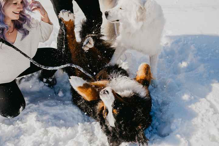 Engagement Pictures - 1
