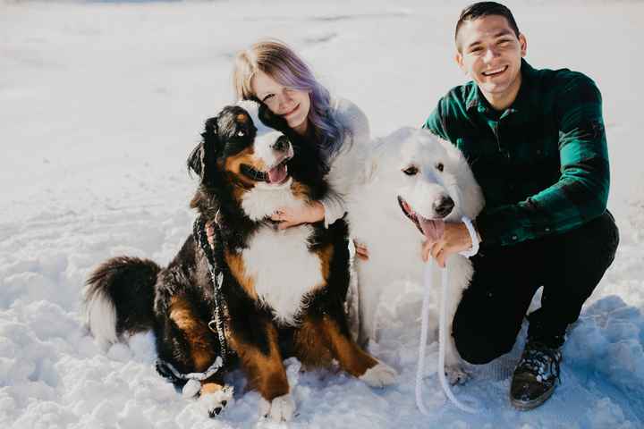 Show me your fiance and pet - 1