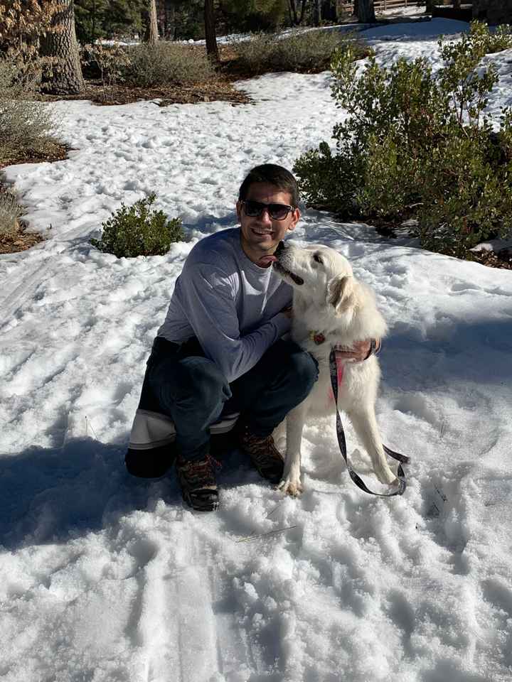 Show me your fiance and pet - 2