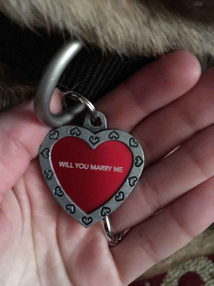 He popped the question!