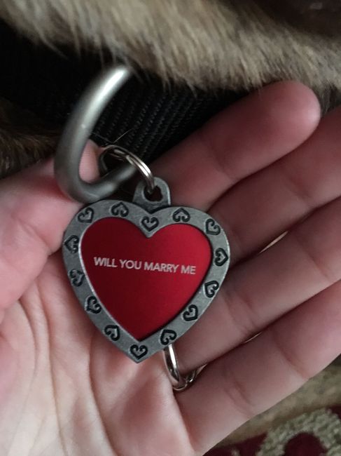 He popped the question!