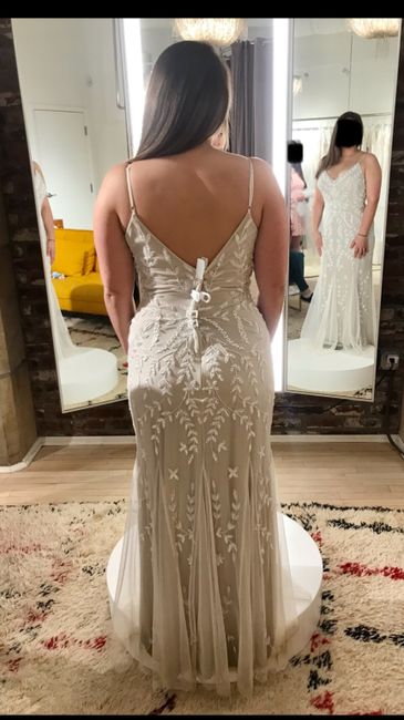 Color and length of veil?? Help! - 2