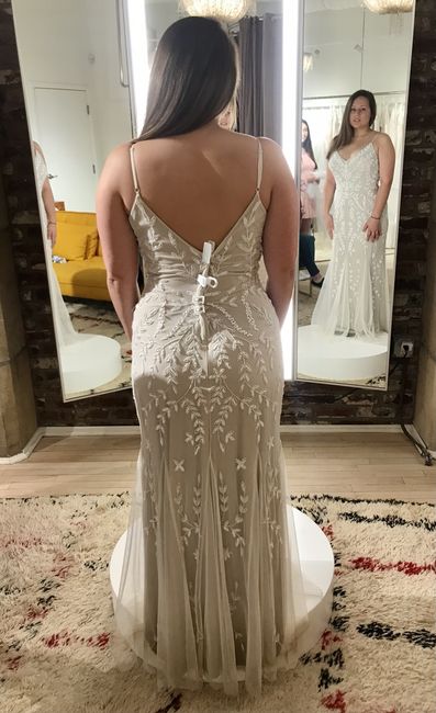 Color and length of veil?? Help! 2