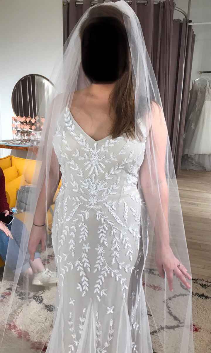 Color and length of veil?? Help! - 1