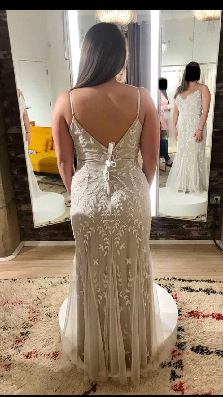 Color and length of veil?? Help! - 2