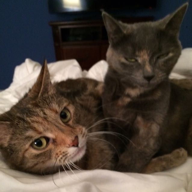 NWR Animal Lovers