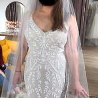 Color and length of veil?? Help! - 1