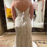 Color and length of veil?? Help! - 2