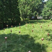 Let me see what you've made! - 1