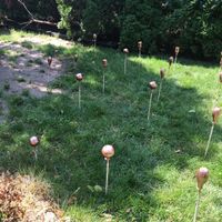 Let me see what you've made! - 2