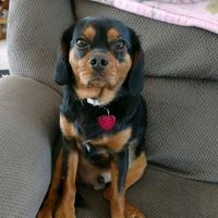 Show me your fur babies!