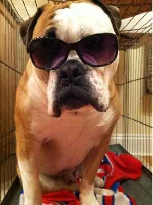 Furbabies!!! Lets show them off!