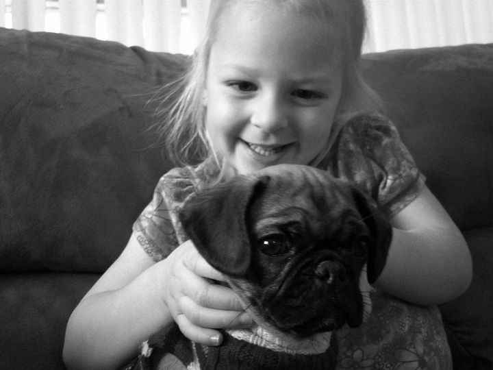 Need cheering up. Show me your puppies!