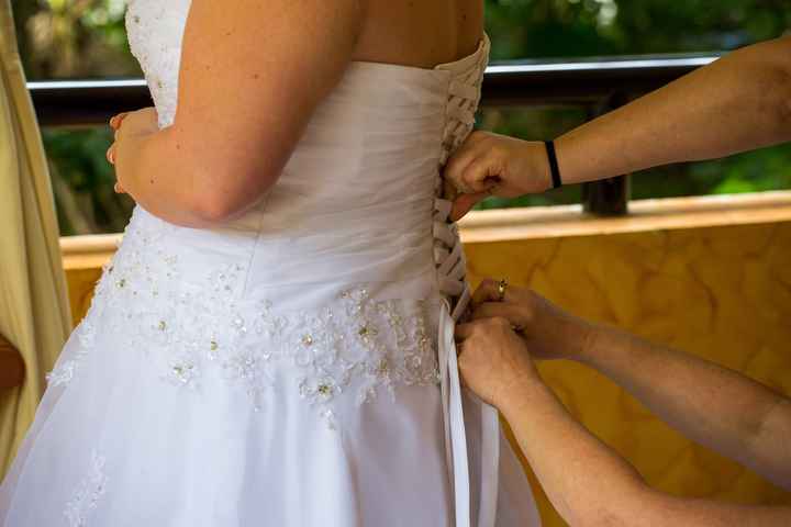 Where are my plus size brides?