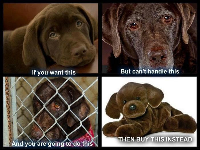 NWR - Vent about people and pets.
