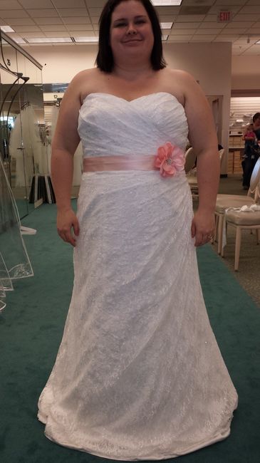 Show me your Davids Bridal dresses:)