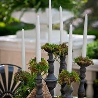 Moss Candlesticks