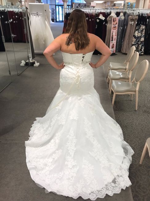 The dress - 3