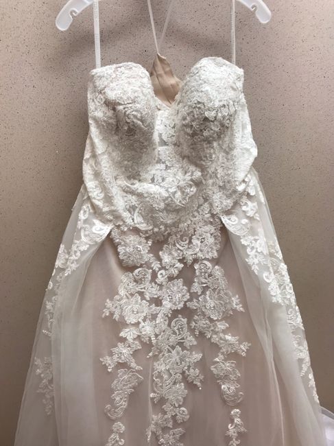 i changed my dress 2