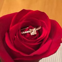 Show me the Ring!💍 - 1