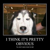 Omg I love Honeyfund!