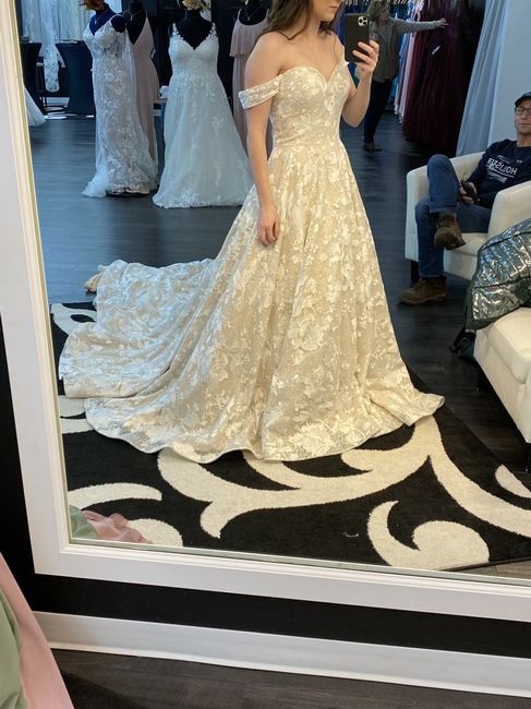 Dress Silhouette Confusion - 2