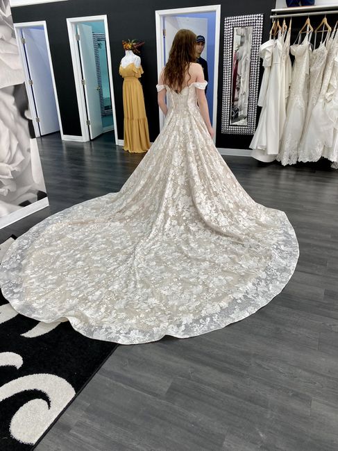 Dress Silhouette Confusion - 3