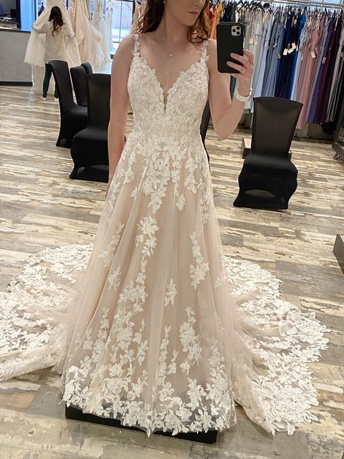 Dress Silhouette Confusion - 4