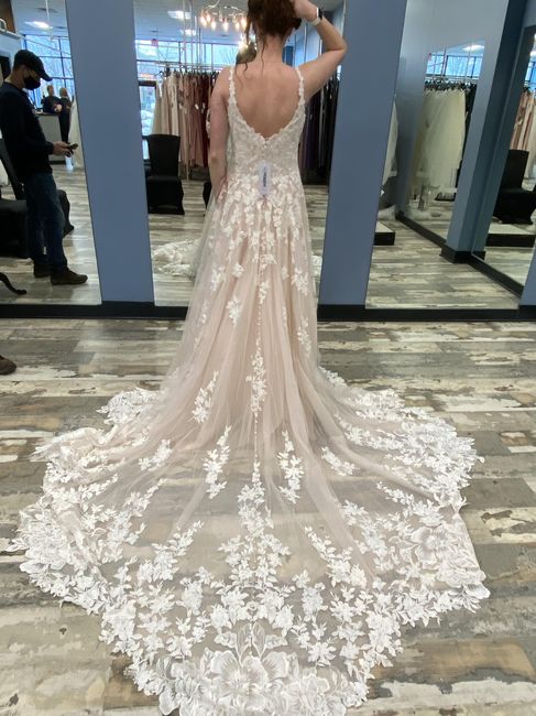 Dress Silhouette Confusion - 5