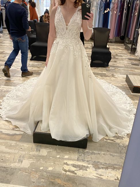 Dress Silhouette Confusion - 6