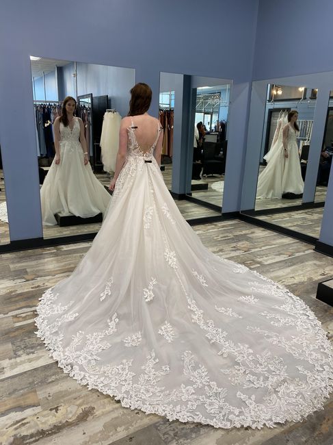 Dress Silhouette Confusion - 7