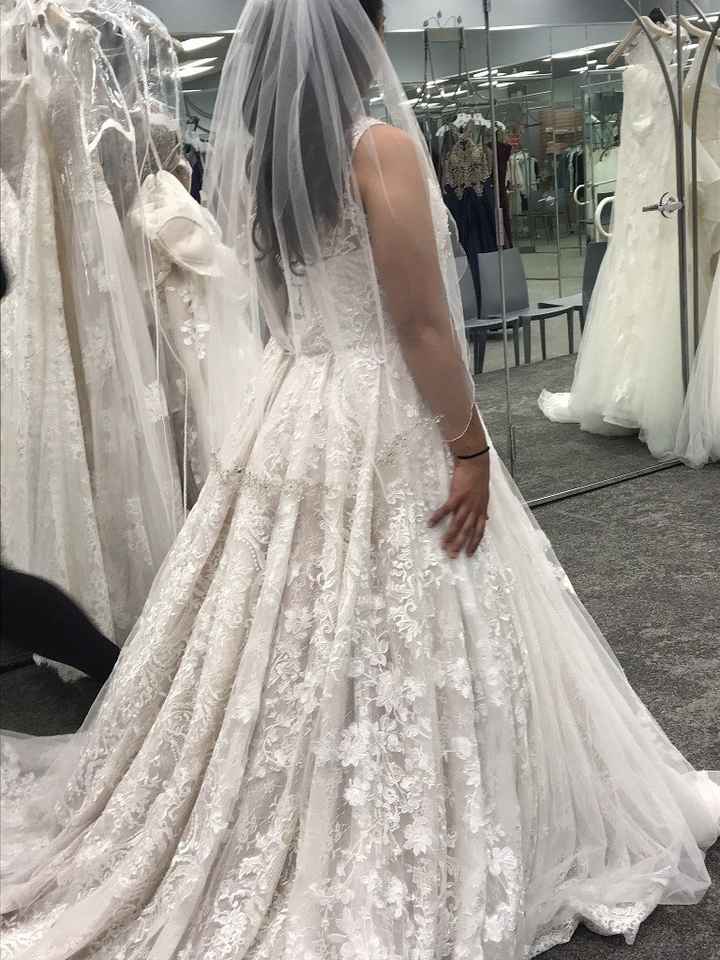 Dress shopping: trip 1 - 2