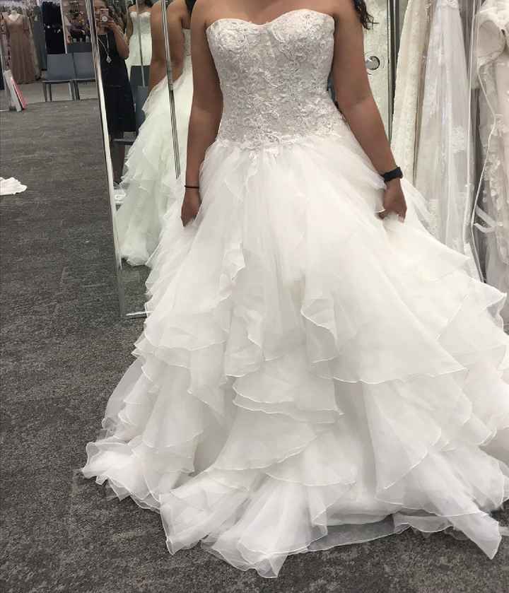 Dress shopping: trip 1 - 5