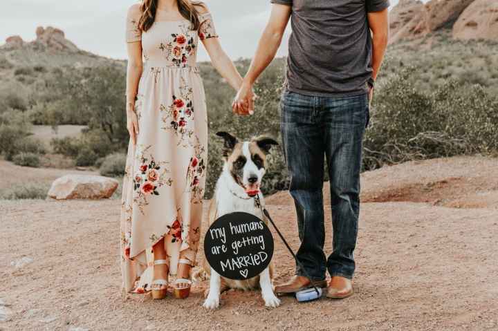 Megan Henry Photography