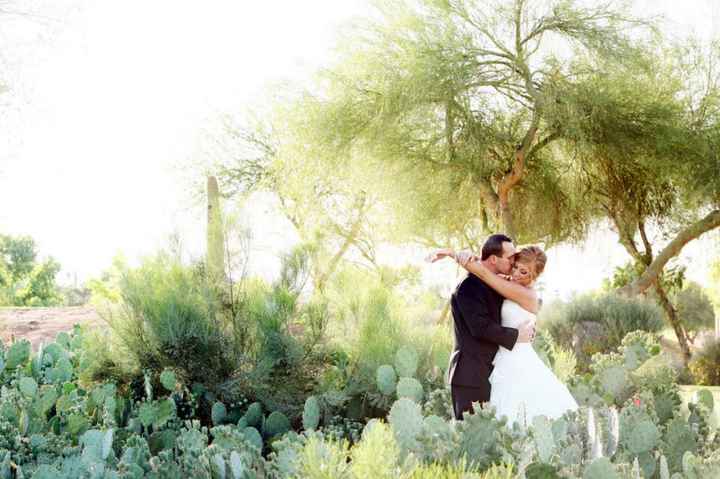 Wedgwood Palm Valley