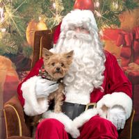 Show me your holiday photos!