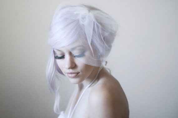 Birdcage veil
