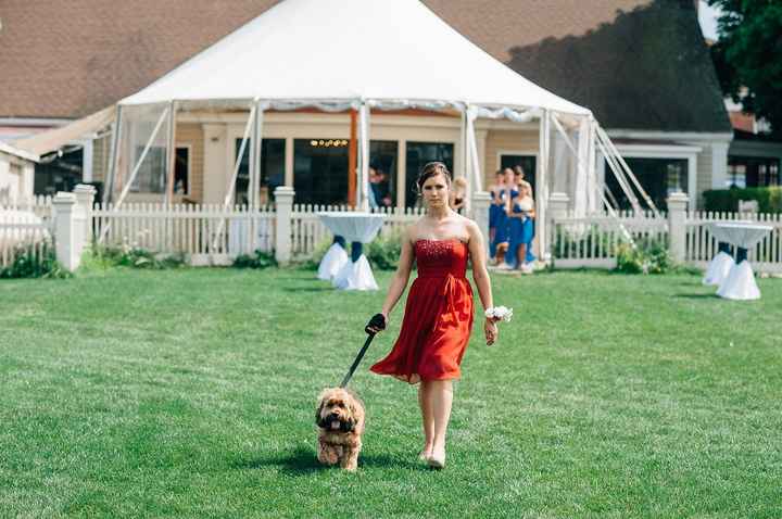 Finally posting my BAM. (dogs in wedding, lawn games, melted wedding cake, my opinions on everything