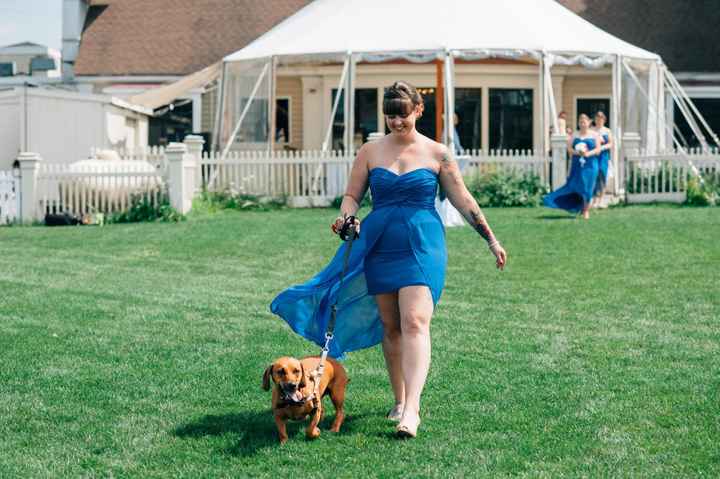 This is a pets in wedding thread.(I want to see pictures)