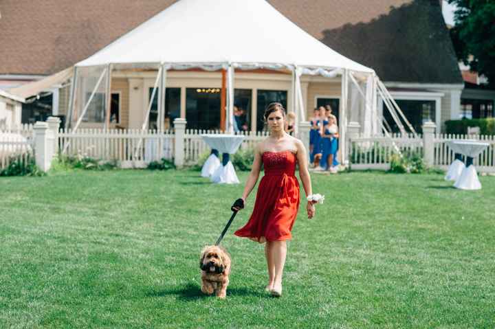 This is a pets in wedding thread.(I want to see pictures)