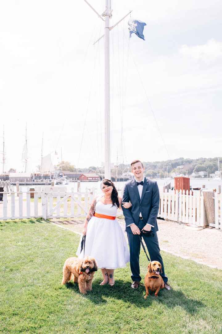 This is a pets in wedding thread.(I want to see pictures)