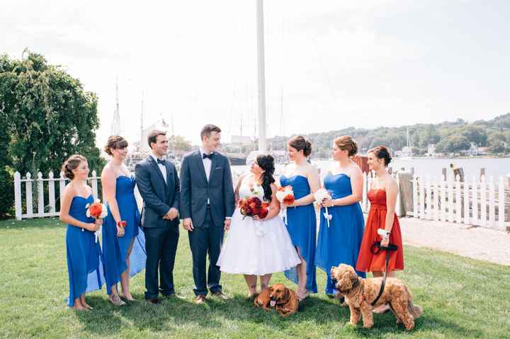 This is a pets in wedding thread.(I want to see pictures)