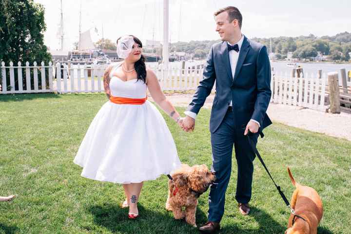 This is a pets in wedding thread.(I want to see pictures)