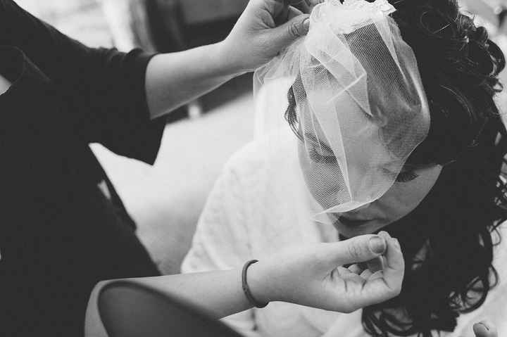 Birdcage Veil