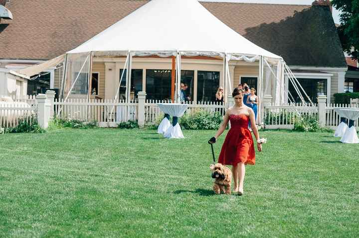 How many people are using your pets in your wedding?