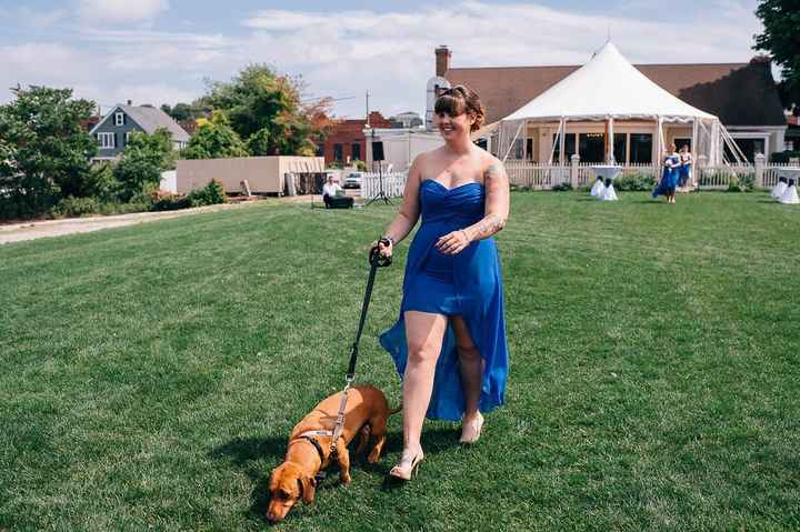 How many people are using your pets in your wedding?
