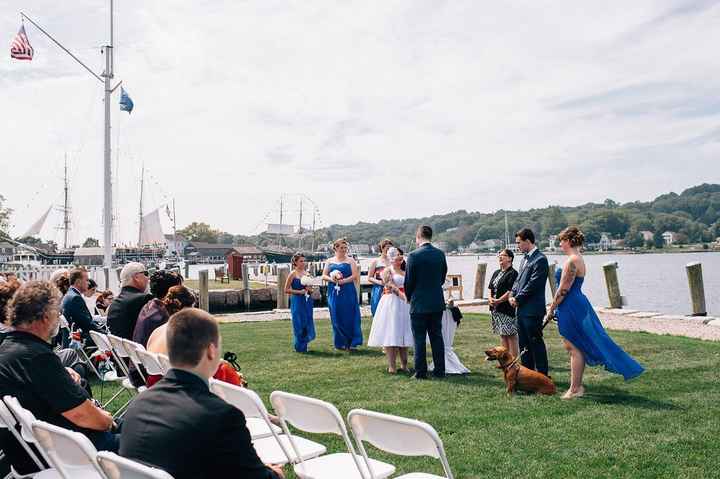How many people are using your pets in your wedding?